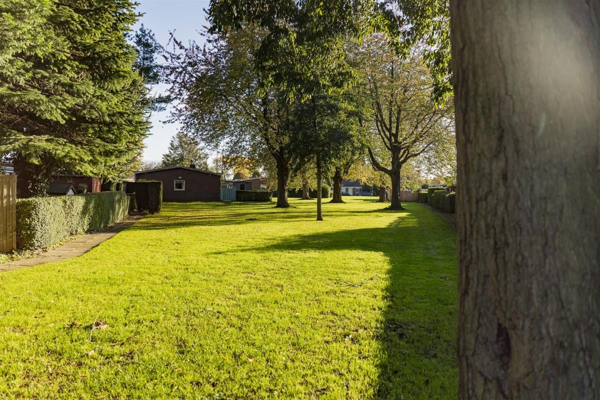 Grote tuin met gras en bomen in de Wielewaal
