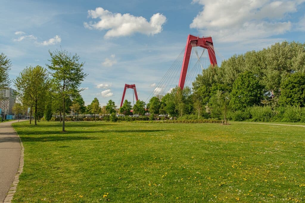 Medium-Omgeving Oranjeboomstraat - Persoonsstraat.jpg