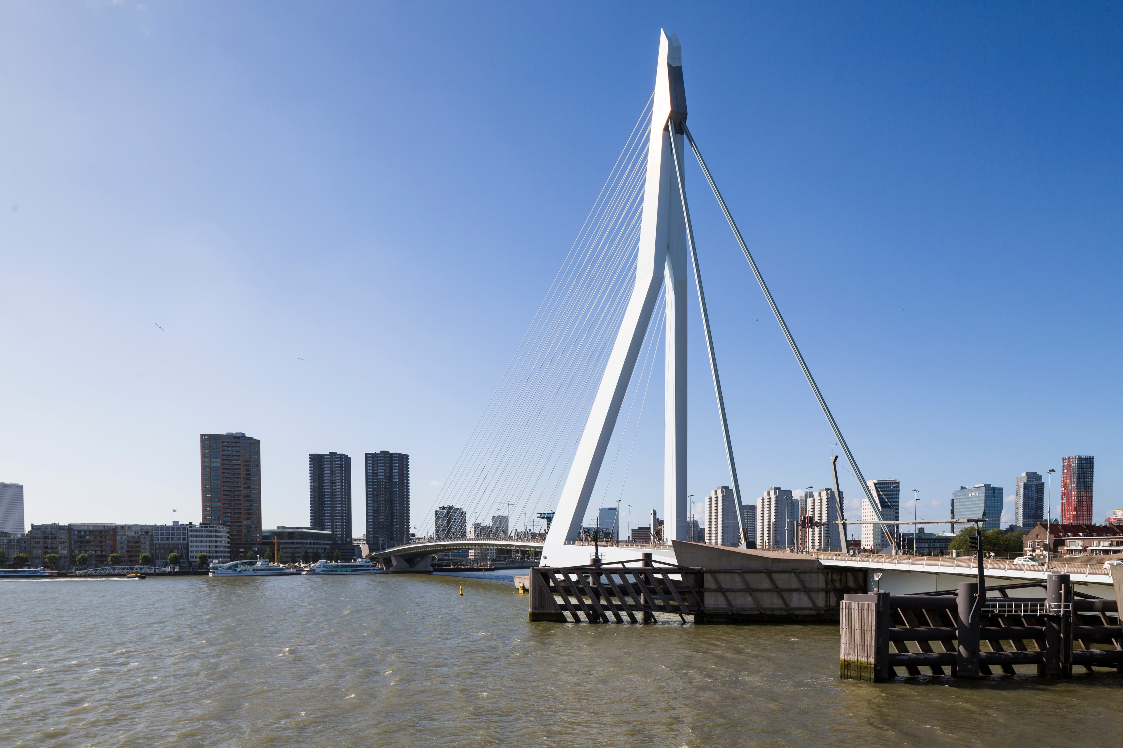 Skyline van Rotterdam met de Erasmusbrug
