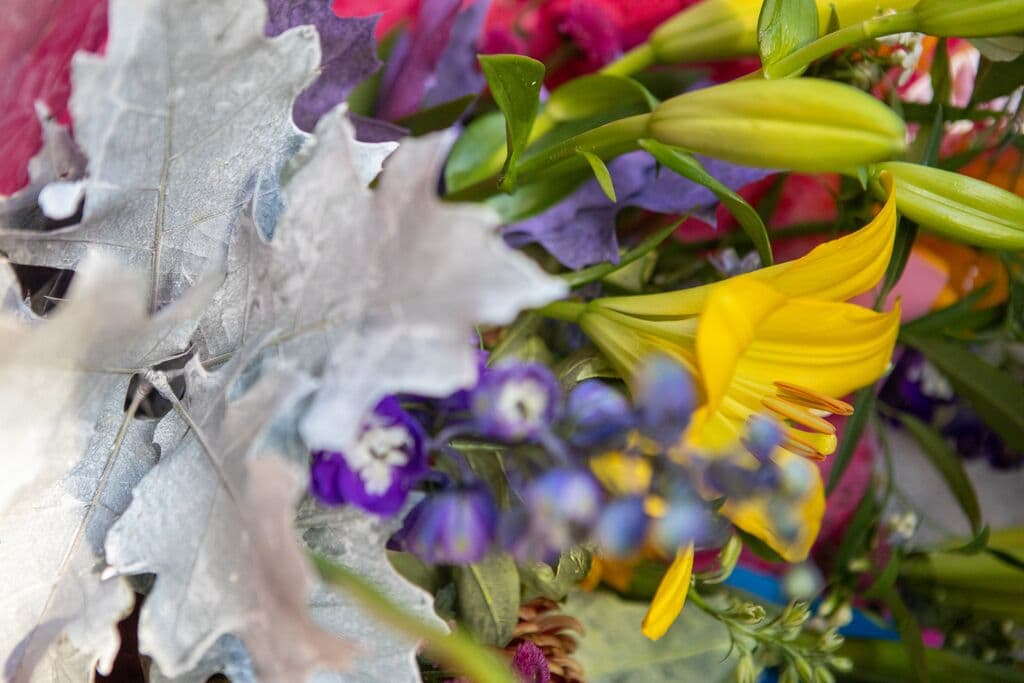 Lente bloemen