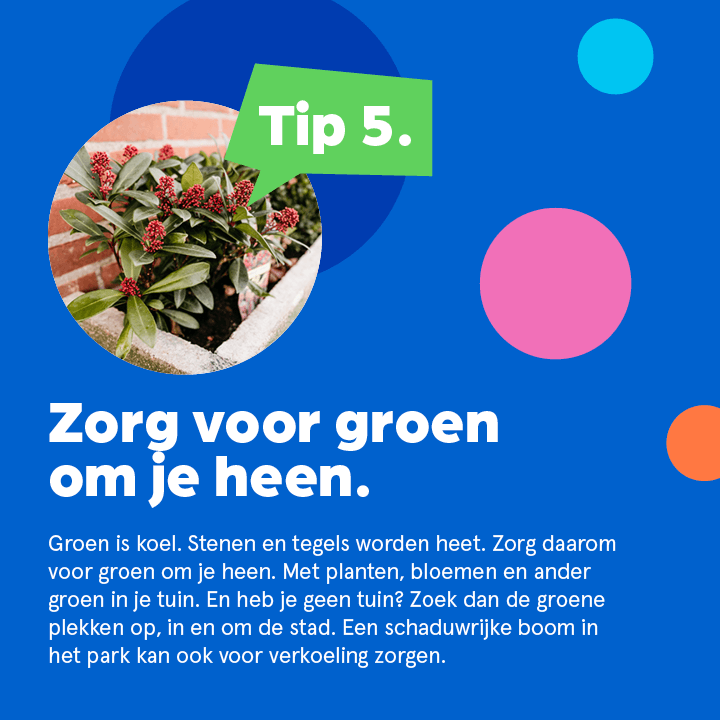 Tip 5 om je huis koel te houden: zorg voor groen om je heen. Groen is koel. Stenen en tegels worden heet. Zorg daarom voor groen om je heen. Met planten, bloemen en ander groen in je tuin. En heb je geen tuin? Zoek dan de groene plekken op, in en om de stad. Een schaduwrijke boom in het park kan ook voor verkoeling zorgen.