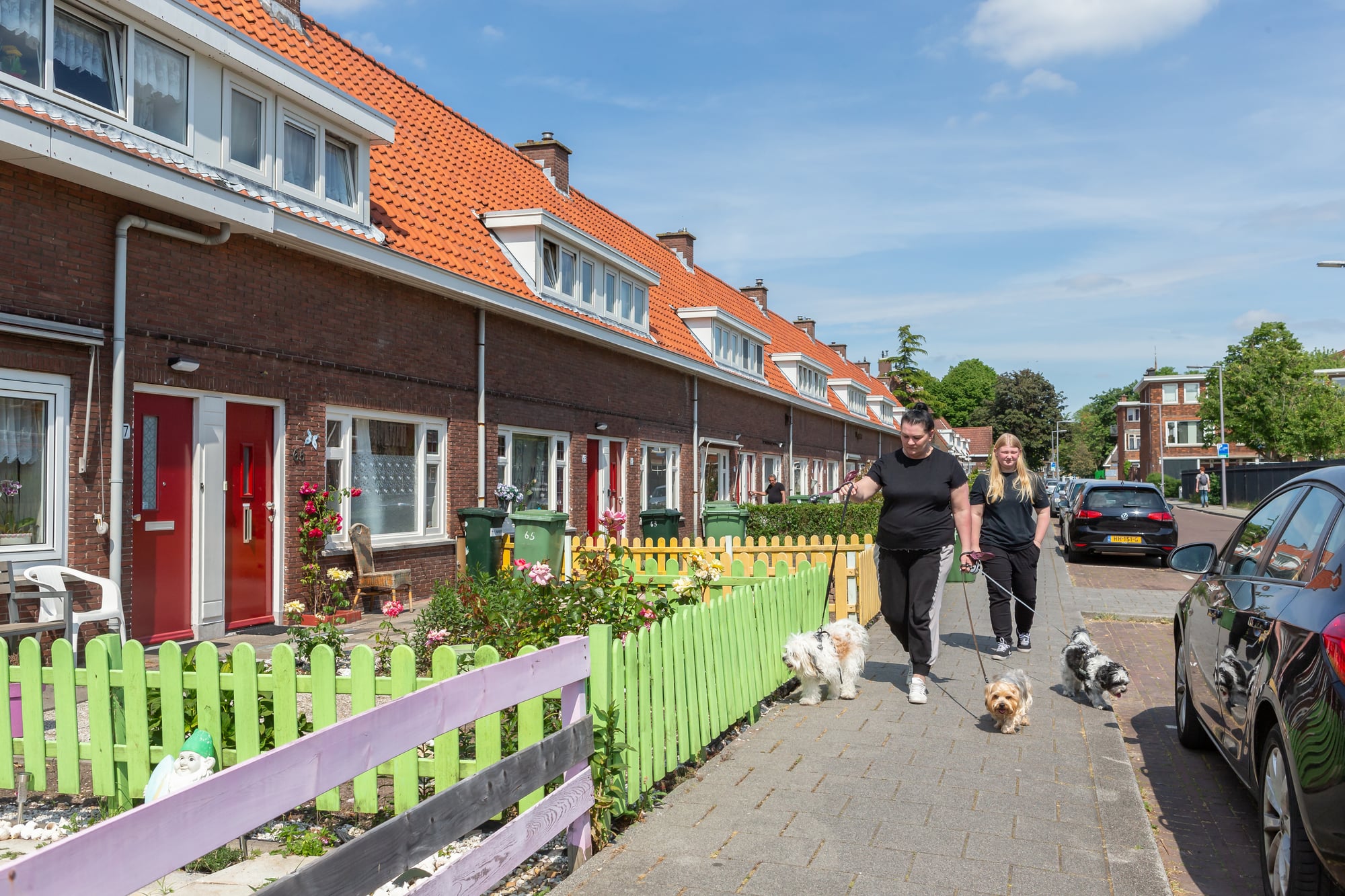 Vrouwen laten honden uit op straat in de Tarwebuurt