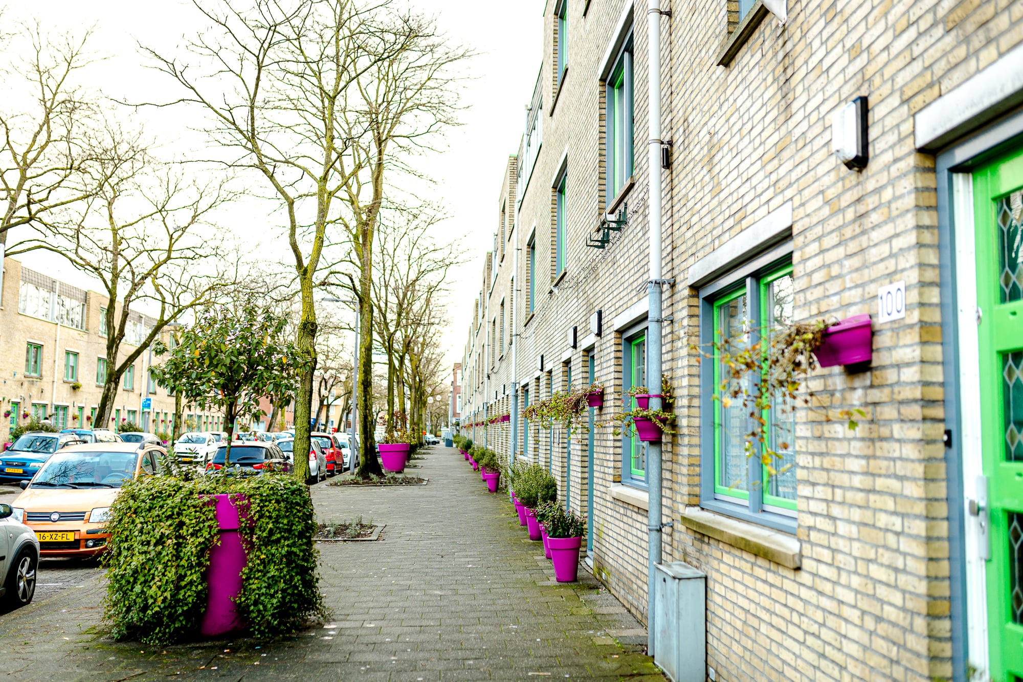 Straat Riederlaan vol met plantjes
