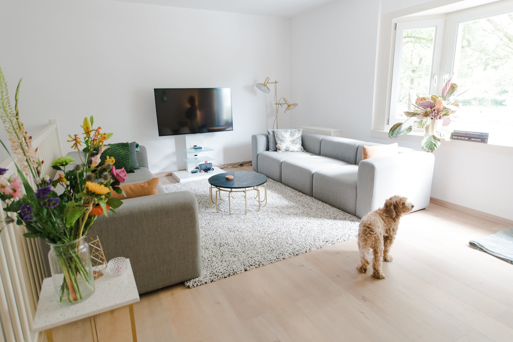 Woonkamer met banken, salontafel en hond