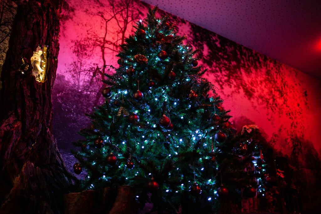 Grote kerstboom met versieringen en lichtjes