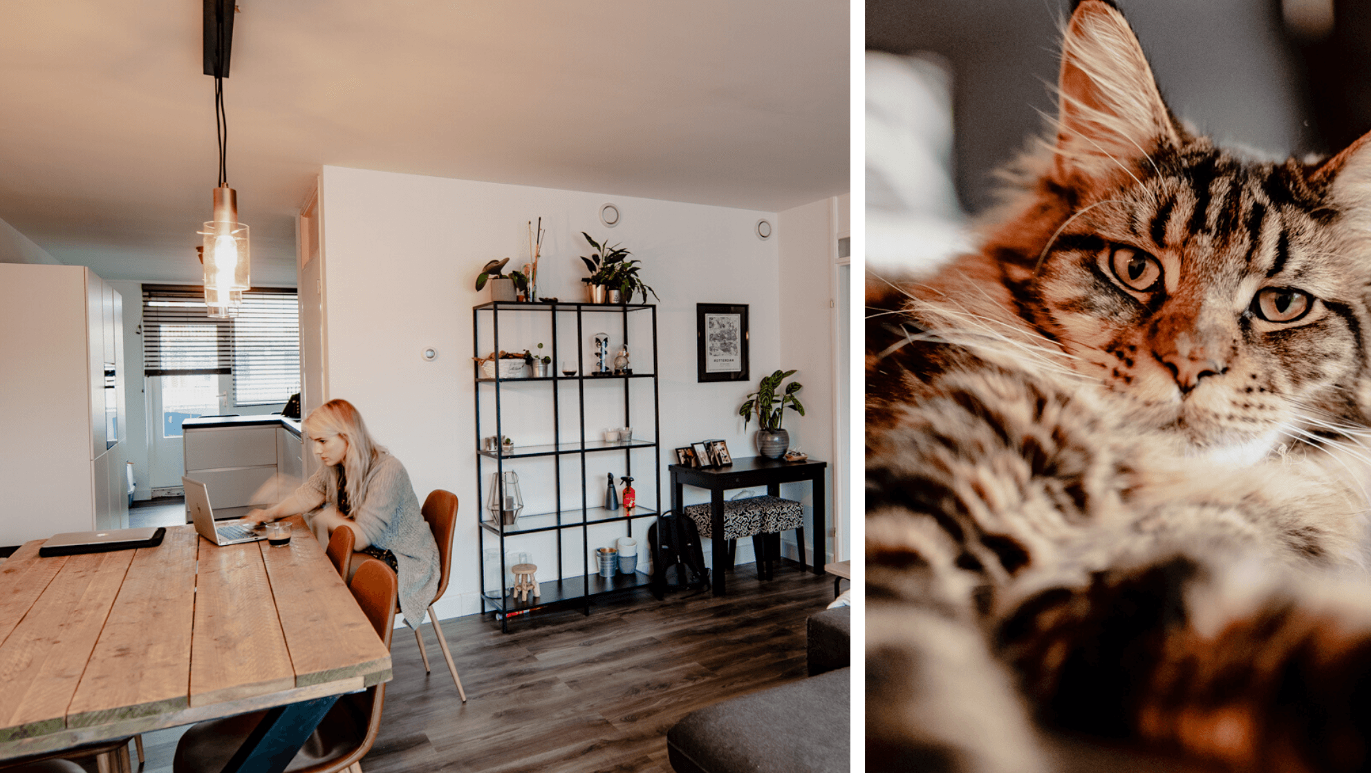 Woonkamer Sanne en portret kat