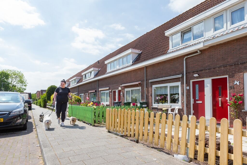 Vrouw laat honden uit in de Tarwebuurt
