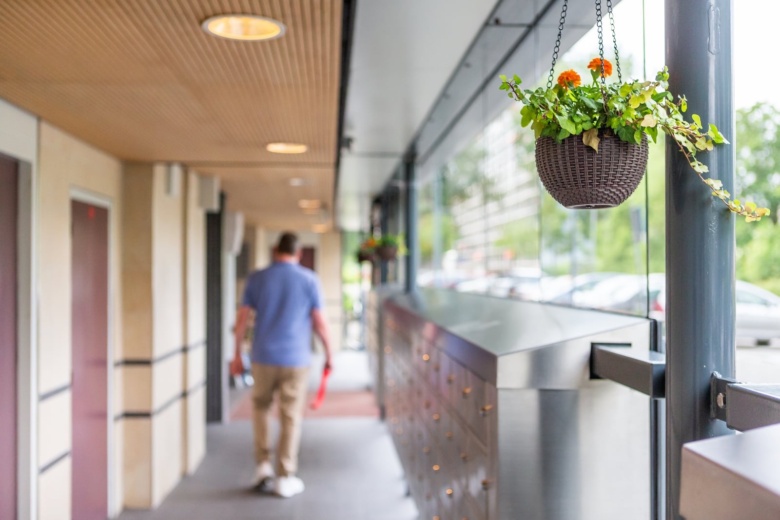 Herman loopt door galerij waar bloemetje hangt
