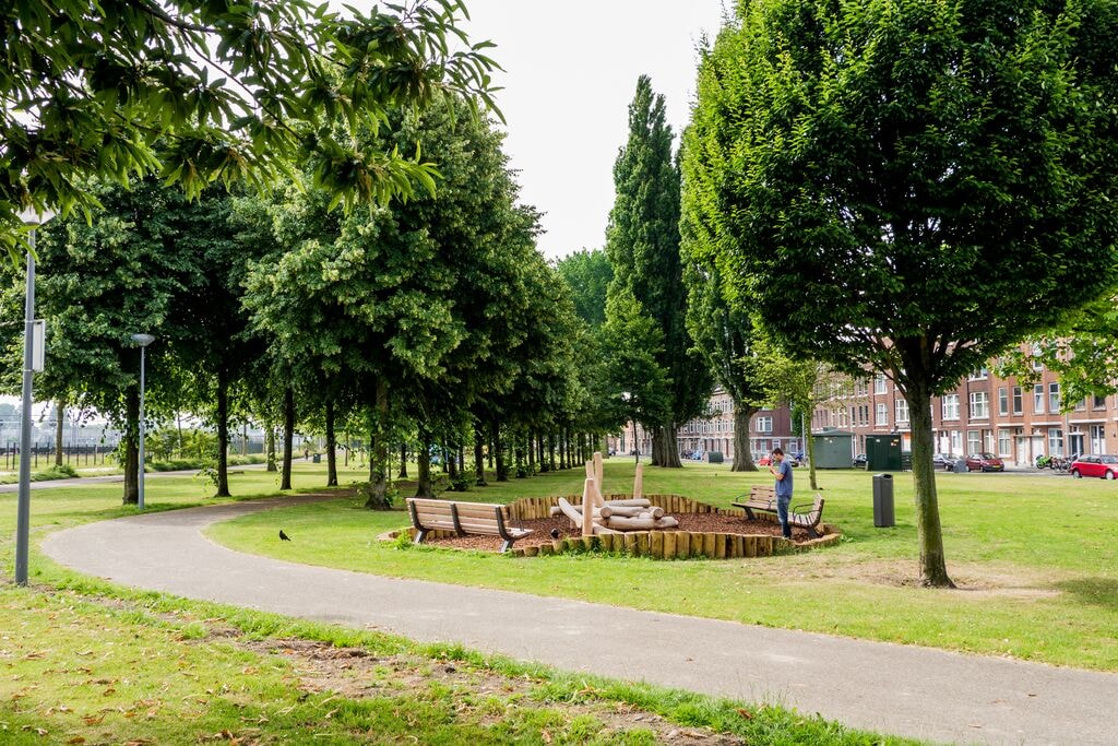 Parkje in de wijk Hillesluis