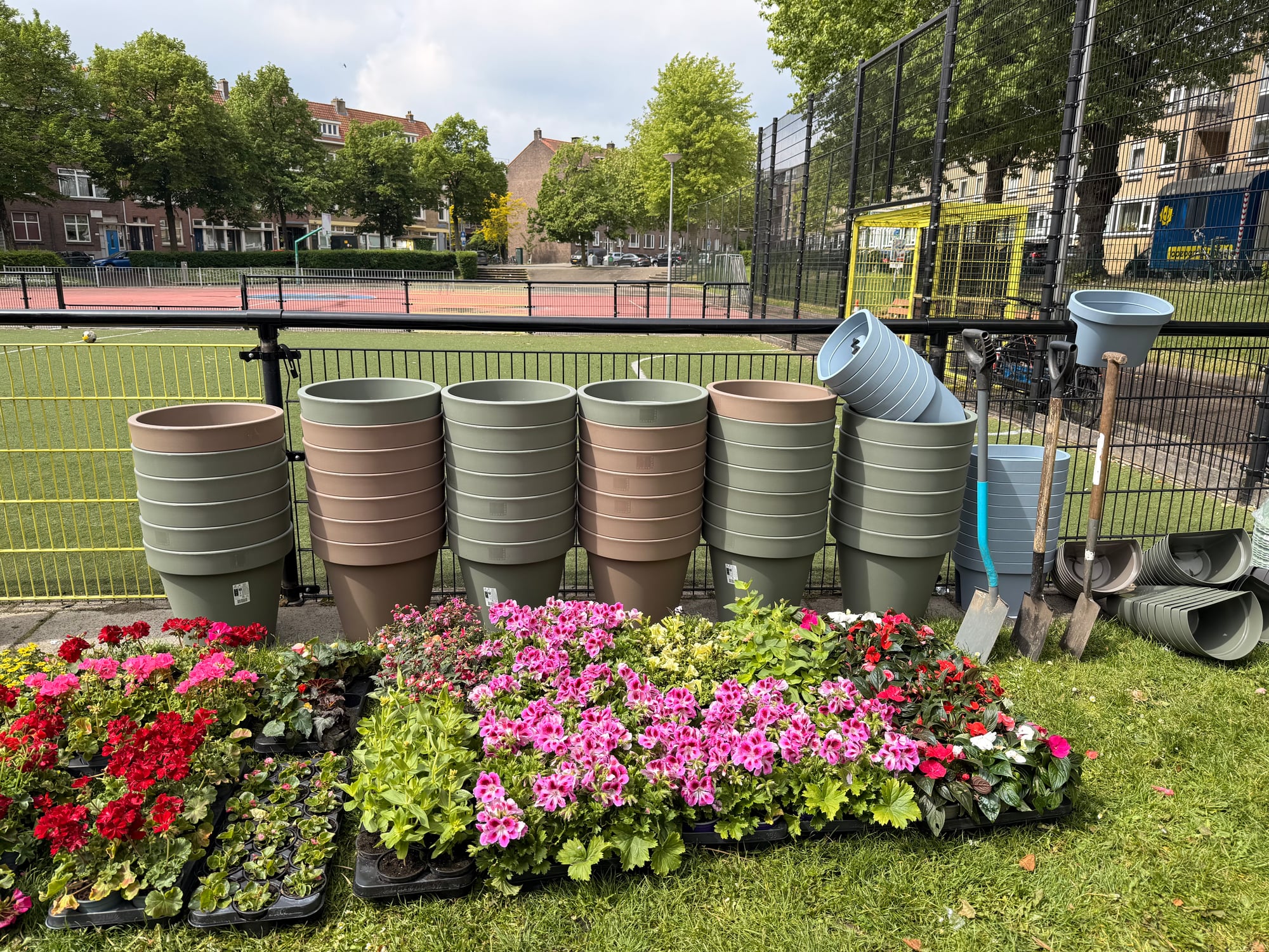 Planten en plantenbakken