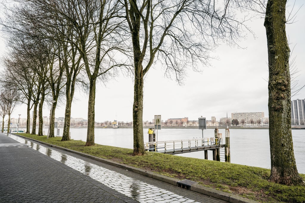 Uitzicht op de Maas vanaf de kade