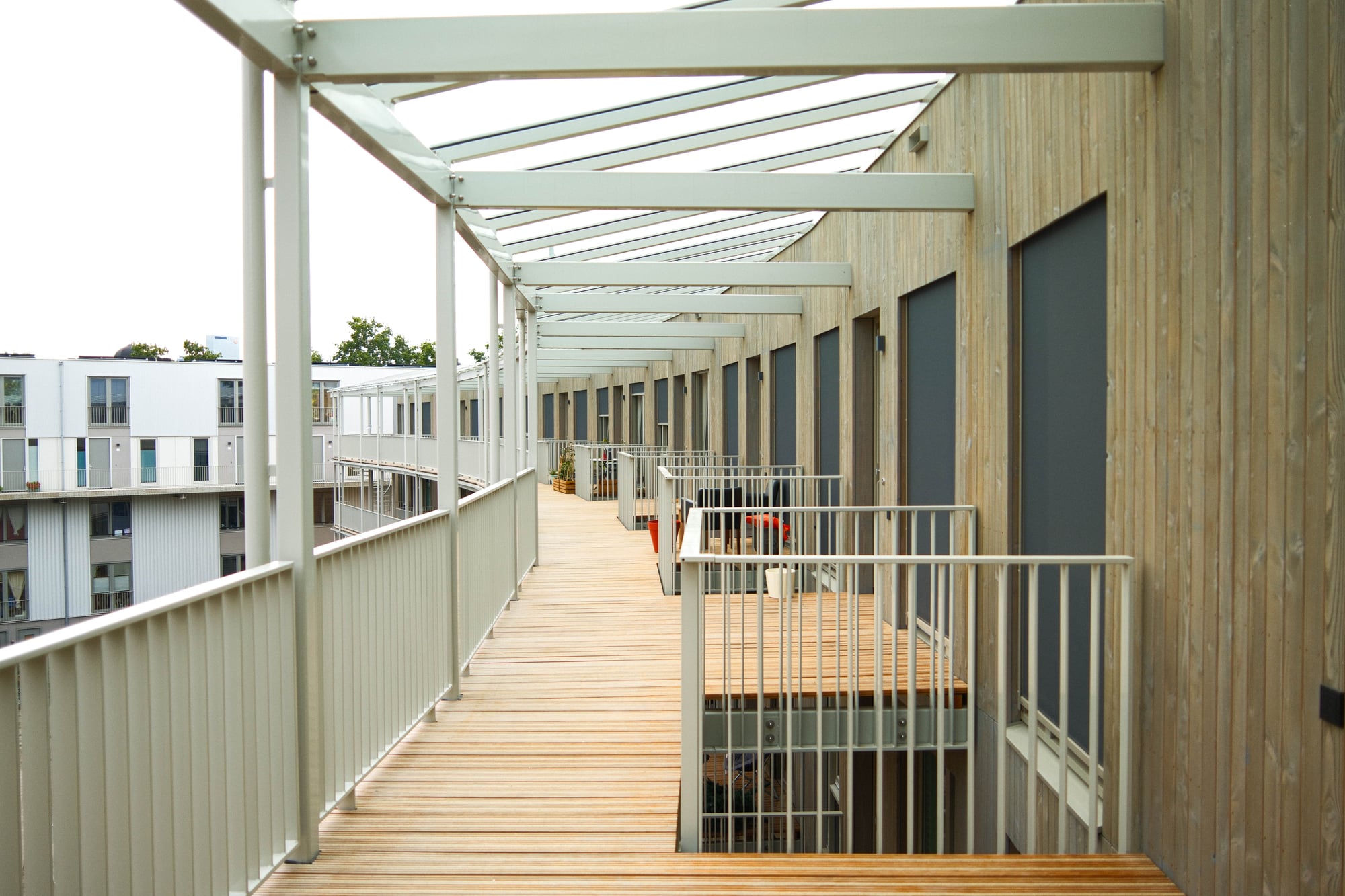 Oplevering Zwaanskop wandelgang
