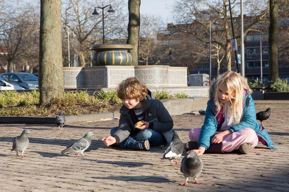 Kinderen met duiven op het Noordplein