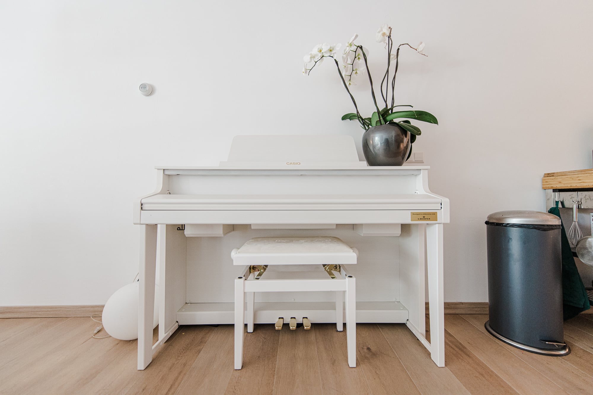 Witte piano en plant