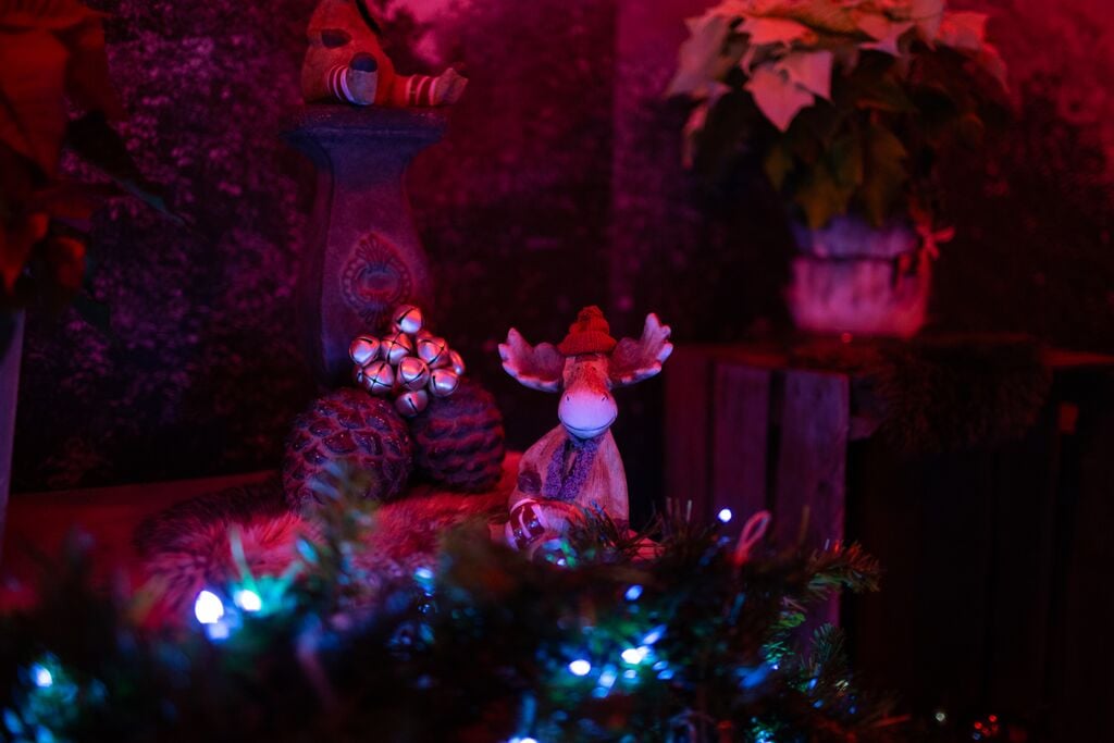Kerstversieringen en kleine rendier