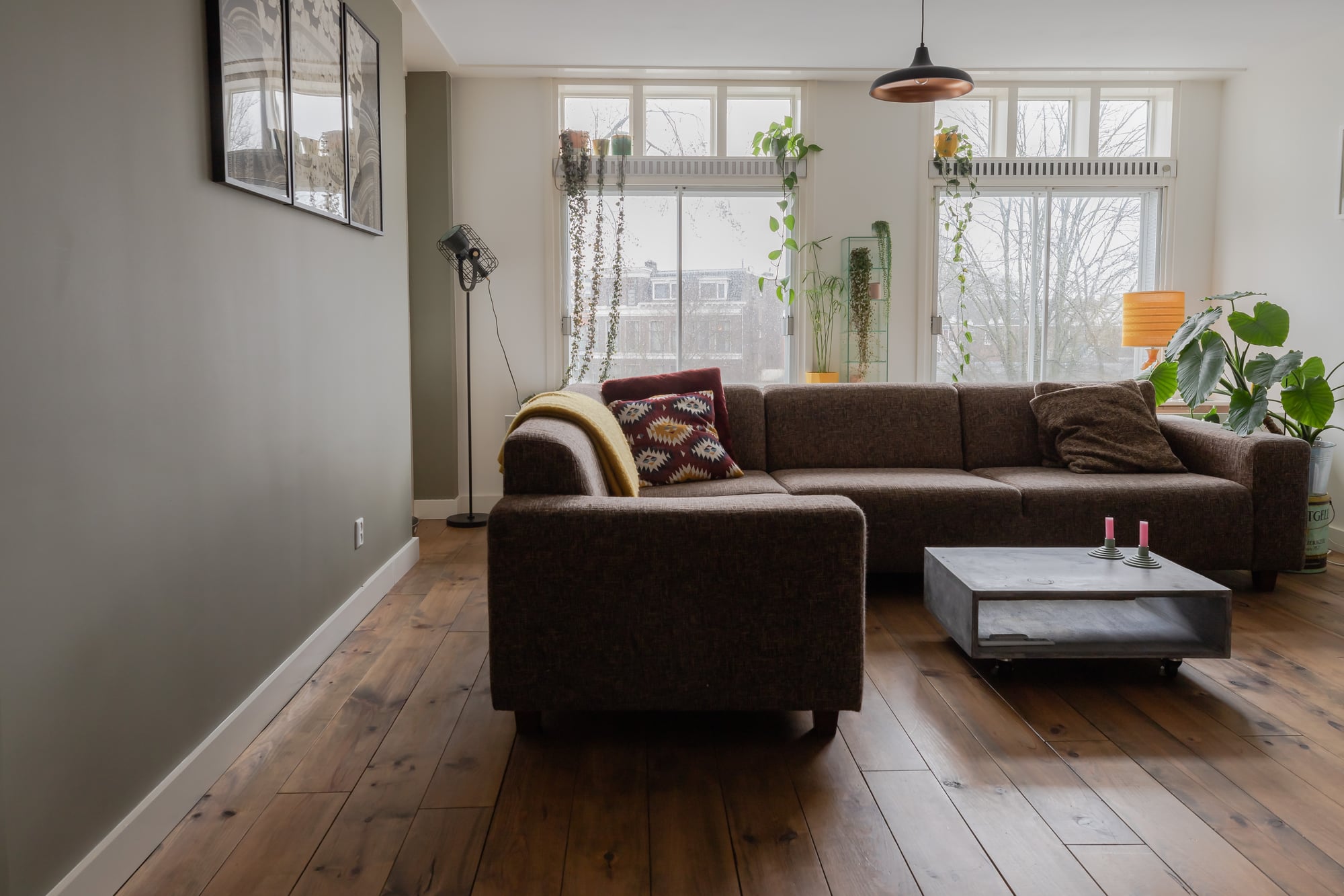 Woonkamer met bank en planten