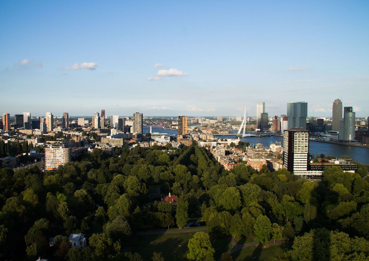 Skyline- Rotterdam